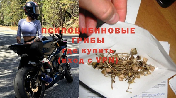амф Пестово