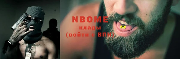амф Пестово