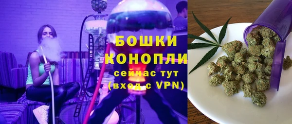 амф Пестово