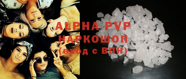 амф Пестово