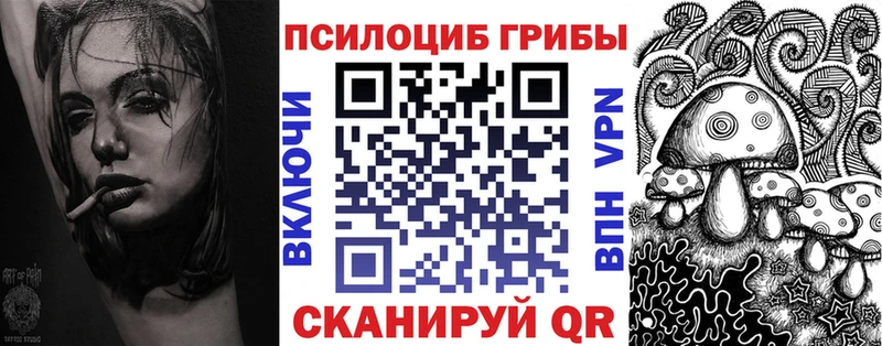 продажа наркотиков  Североморск  Галлюциногенные грибы Psilocybe 