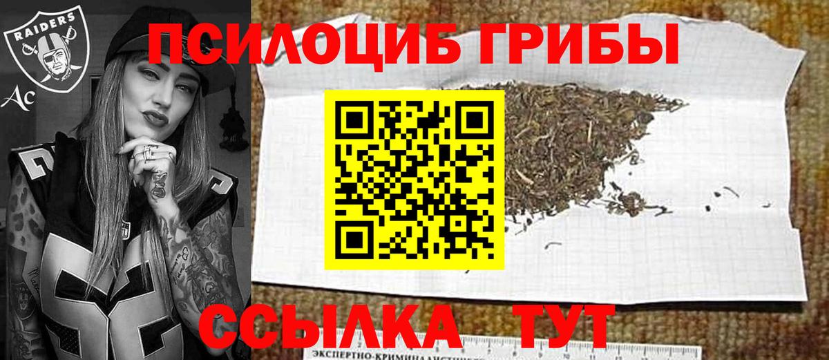 Псилоцибиновые грибы GOLDEN TEACHER Североморск